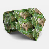 Tのレックス-ドレッシーなタイ ネクタイ (ロール)