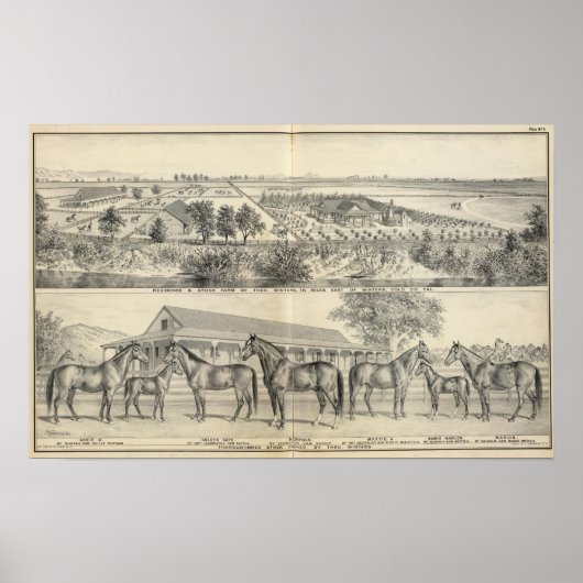 Tウィンターズファーム ポスター (正面)