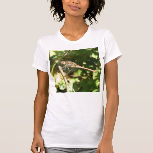 Tシャツのトンボ Tシャツ (正面)