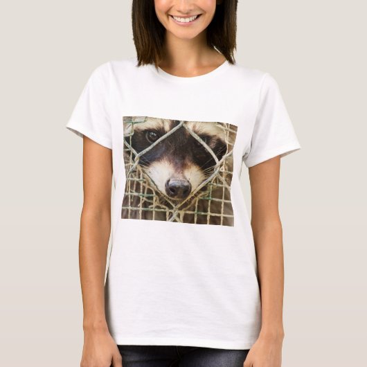 Tシャツのラクーン Tシャツ (正面)