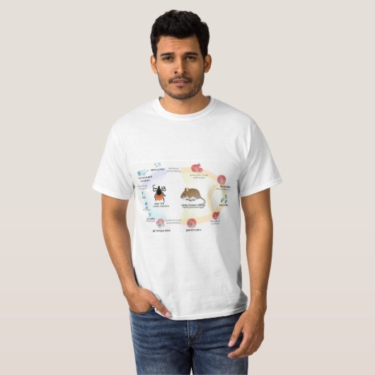 Tシャツの図表のBabesiaのmicrotiのライフサイクル Tシャツ (正面フル)