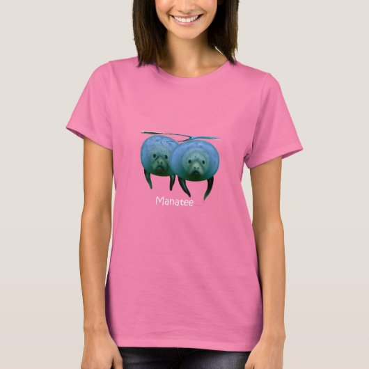 Tシャツの管理 Tシャツ (正面)