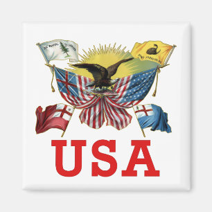 Tシャツの米国旗の歴史 マグネット