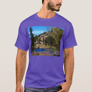 TシャツのCusterの州立公園SD Tシャツ