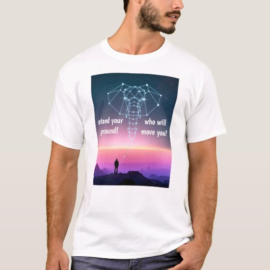 Tシャツを着替える Tシャツ (正面)
