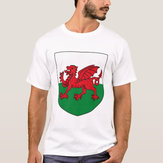 Tシャツウェールズの紋章付き外衣 Tシャツ (正面)