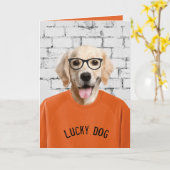 Tシャツカードの退職金レトリバー カード (黄色い花)