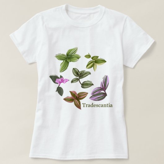 Tシャツトラデスカンティア植物 Tシャツ (デザイン正面)
