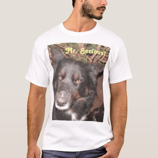 Tシャツハスキーコリクロス Tシャツ (正面)