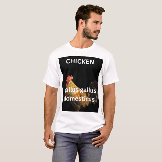 Tシャツ (正面フル)