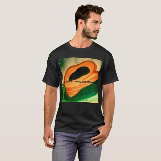 tシャツ (正面フル)
