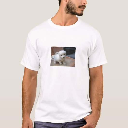 Tシャツ (正面)