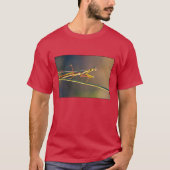 Tシャツ (正面)