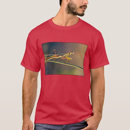 Tシャツ (正面)