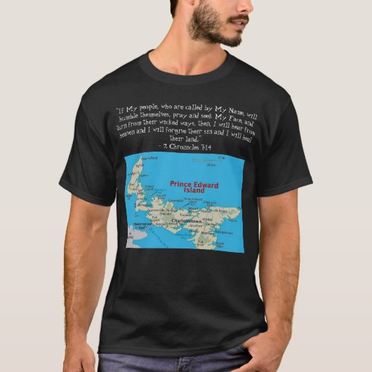 Tシャツ (正面)