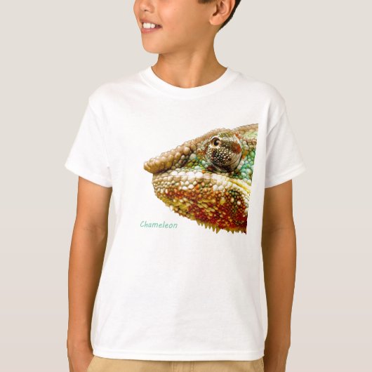 Tシャツ (正面)
