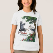 Tシャツ (正面)