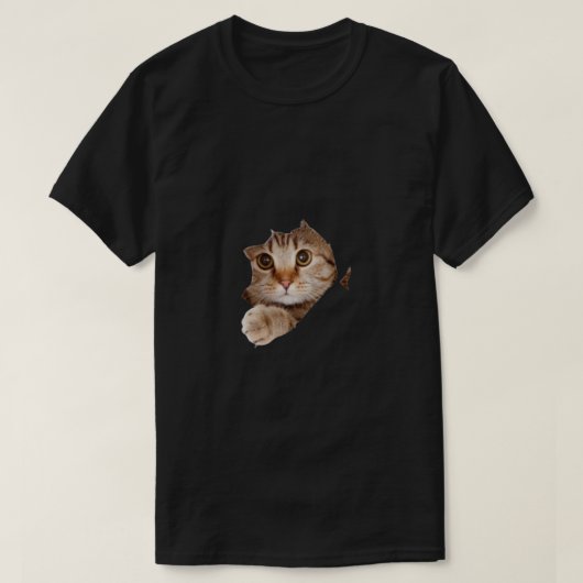 Tシャツ (デザイン正面)