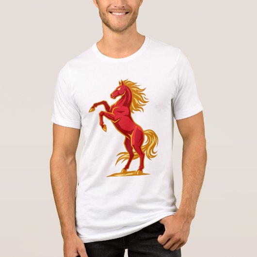 Tシャツ (正面)