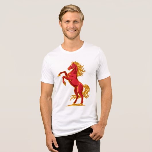 Tシャツ (正面全面)