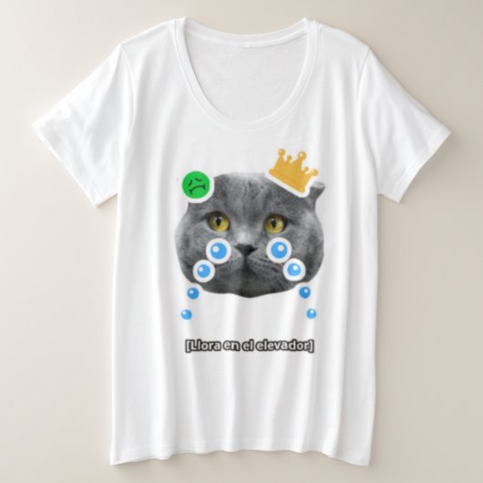 Tシャツ (デザイン正面)