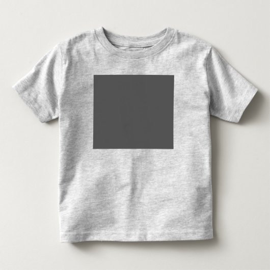 Tシャツ (正面)