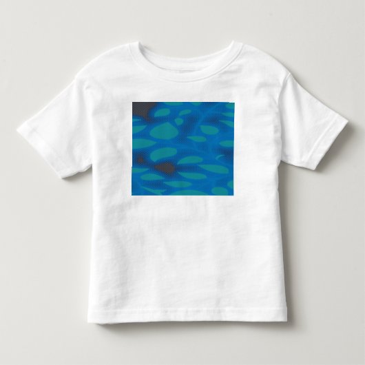 Tシャツ (正面)