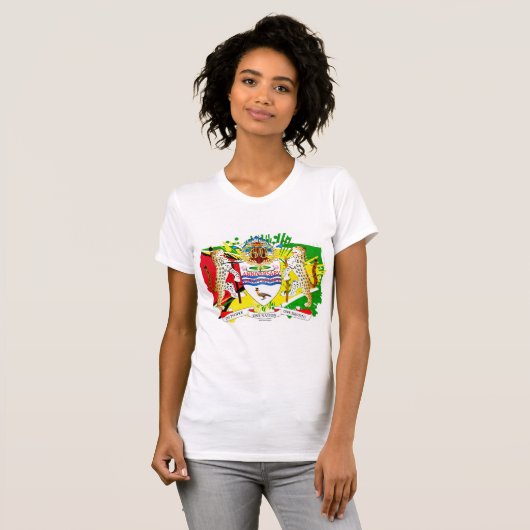 Tシャツ (正面フル)