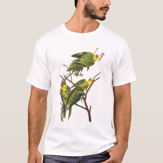 Tシャツ：インコ – by John Audubon Tシャツ (正面)