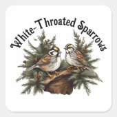 Tシャツ スクエアシール (正面)