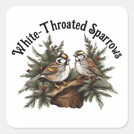 Tシャツ スクエアシール (正面)