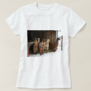 Tシャツ – 雪の中のアルパカ
