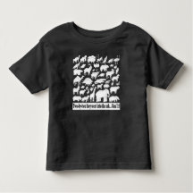 Tシャツ（2枚）