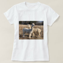 Tシャツ – Alpacas Abby & Bailey