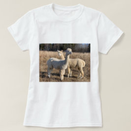 Tシャツ – Alpacas Abby & Bailey