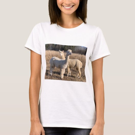 Tシャツ – Alpacas Abby & Bailey (正面)