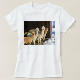Tシャツ – Alpacas in the Winter Sun