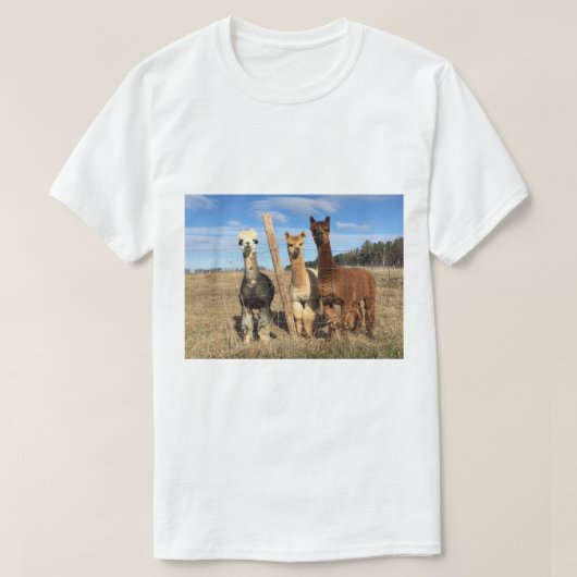 Tシャツ – Alpacas Phaethon、Barley、Marvin (デザイン正面)