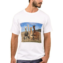 Tシャツ – Alpacas Phaethon、Barley、Marvin