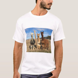 Tシャツ – Alpacas Phaethon、Barley、Marvin