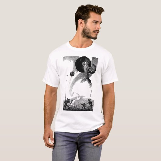 Tシャ風変わりツ Tシャツ (正面フル)