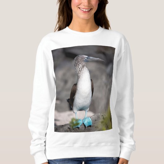 Tスタイリッシュシャツ – 毎日の衣服に最適 スウェットシャツ (正面)