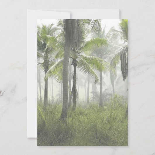 Tレックスティラノサウルスレックス恐竜誕生日招待状 招待状 (裏面)