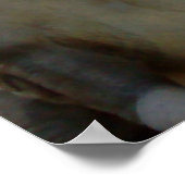 Tレックスポスター ポスター (角)