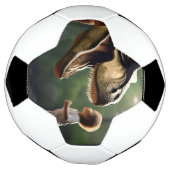 Tレックス顔の恐怖 サッカーボール (回転)
