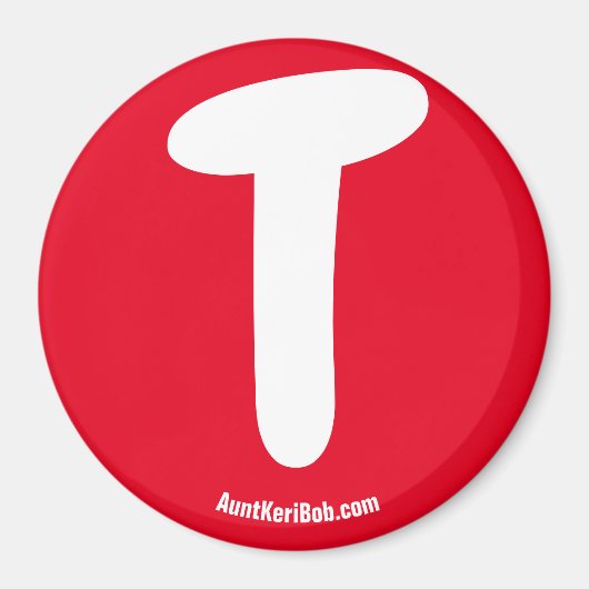 Tレッド冷凍機マグネット マグネット (正面)