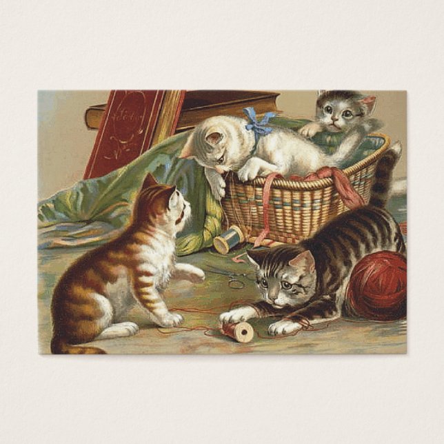 T型の好奇心の強い猫 (正面)