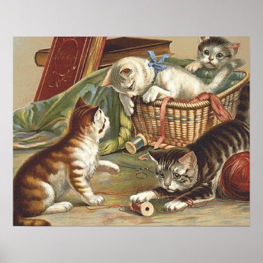 T型の好奇心の強い猫 ポスター (正面)