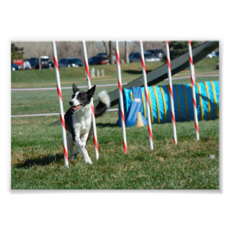 T字形 フォトプリント           