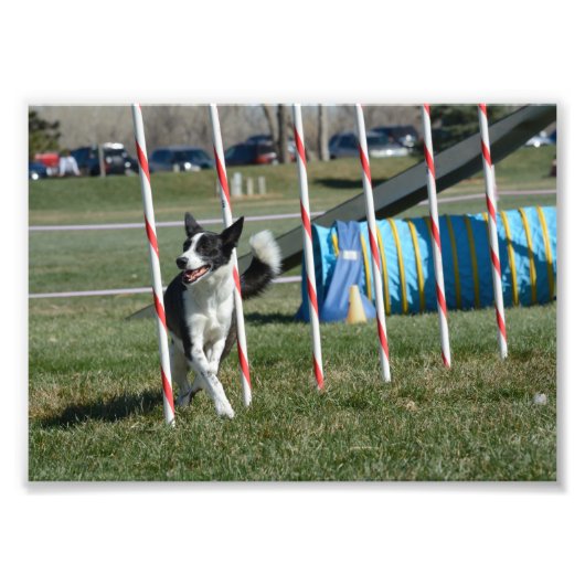 T字形 フォトプリント            (正面)